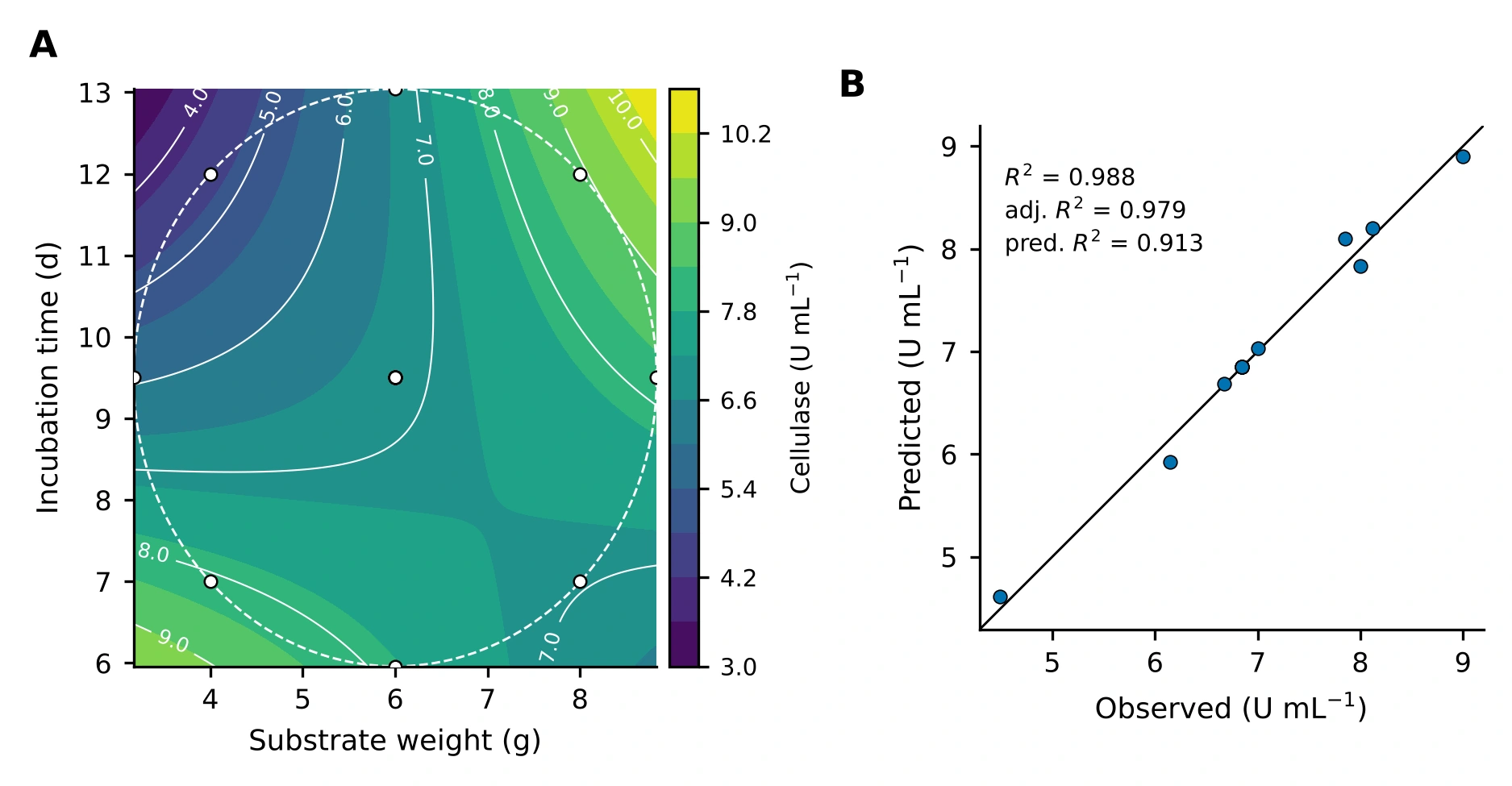 Contour plot of predicted cellulase activity against substrate weight and incubation time with the 13 design points, and a predicted versus observed plot.